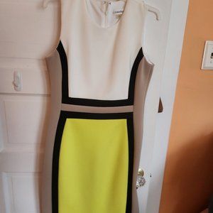 Calvin Klein Block Color Dress